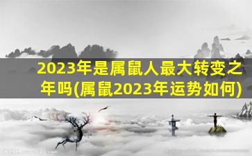 2023年是属鼠人最大转变之