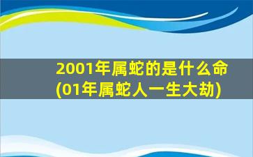 2001年属蛇的是什么命(01年