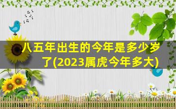 八五年出生的今年是多少岁了(2023属虎今年多大)