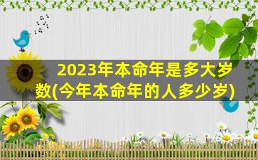 2023年本命年是多大岁数(今年本命年的人多少岁)