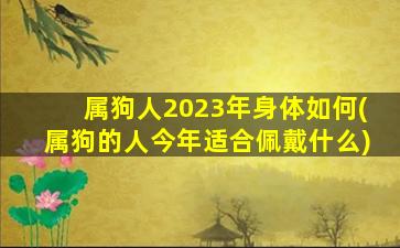 属狗人2023年身体如何(属狗