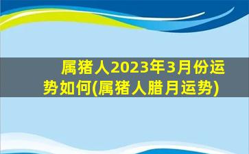 属猪人2023年3月份运势如何