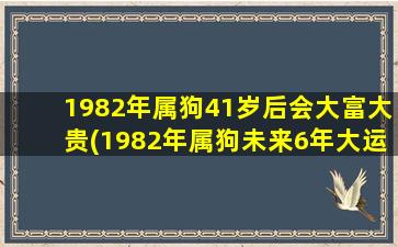 1982年属狗41岁后会大富大