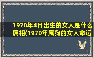 <b>1970年4月出生的女人是什么属相(1970年属狗的女人命运好不好)</b>