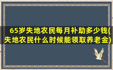 65岁失地农民每月补助多少钱(失地农民什么时候能领取养老金)