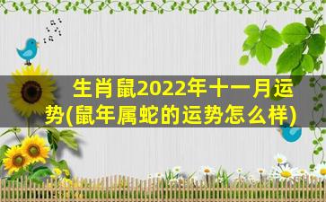 生肖鼠2022年十一月运势