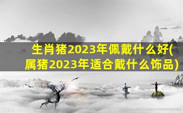 生肖猪2023年佩戴什么好(属猪2023年适合戴什么饰品)