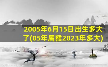 2005年6月15日出生多大了(05年属猴2023年多大)