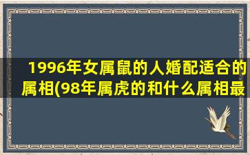 1996年女属鼠的人婚配适合