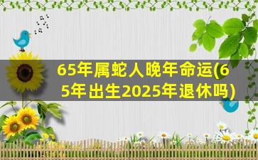 65年属蛇人晚年命运(65年出