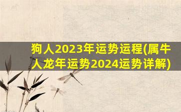 狗人2023年运势运程(属牛人