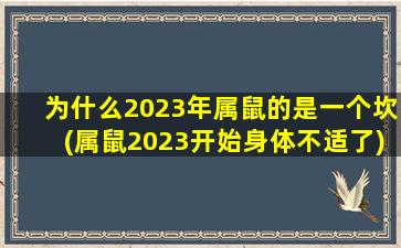 为什么2023年属鼠的是一