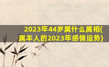 <b>2023年44岁属什么属相(属羊人的2023年感情运势)</b>