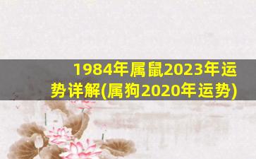 1984年属鼠2023年运势详解