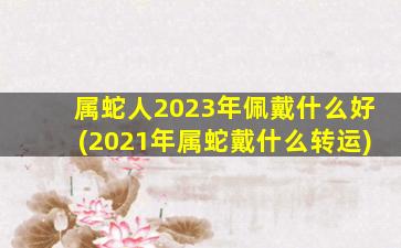 <strong>属蛇人2023年佩戴什么好</strong>