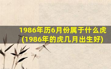 1986年历6月份属于什么虎(1986年的虎几月出生好)