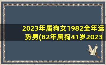 2023年属狗女1982全年运势男