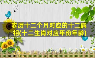 农历十二个月对应的十二属相(十二生肖对应年份年龄)