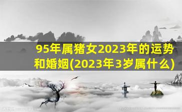 95年属猪女2023年的运势和