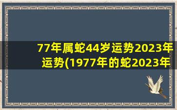 77年属蛇44岁运势2023年运