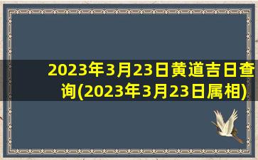 <b>2023年3月23日黄道吉日查询(2023年3月23日属相)</b>