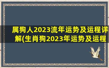 <strong>属狗人2023流年运势及运程</strong>