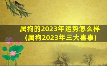 属狗的2023年运势怎么样