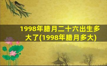 1998年腊月二十六出生多大了(1998年腊月多大)