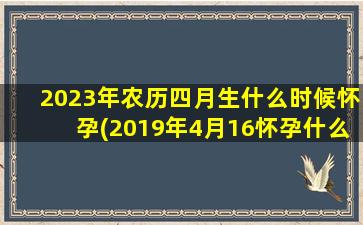 2023年农历四月生什么时候怀孕(2019年4月16怀孕什么时候生)