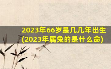 2023年66岁是几几年出生(2023年属兔的是什么命)