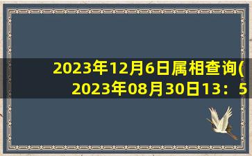 2023年12月6日属相查询(2023年08月30日13：54)