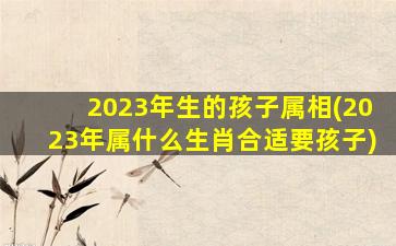 2023年生的孩子属相(2023年属什么生肖合适要孩子)