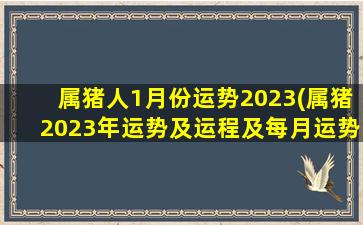 属猪人1月份运势2023(属猪