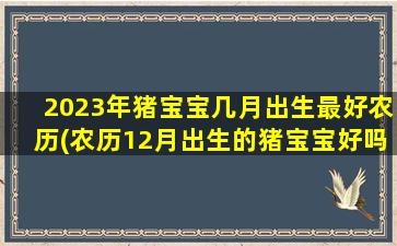 2023年猪宝宝几月出生最好农历(农历12月出生的猪宝宝好吗)