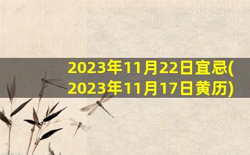 2023年11月22日宜忌(2023年11月17日黄历)