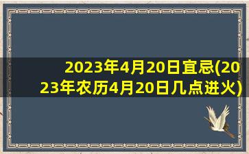 2023年4月20日宜忌(2023年农历4月20日几点进火)