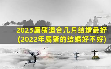 2023属猪适合几月结婚最好