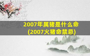 2007年属猪是什么命(2007火