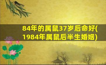 84年的属鼠37岁后命好(19