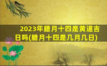 2023年腊月十四是黄道吉日吗(腊月十四是几月几日)