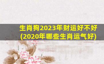 生肖狗2023年财运好不好