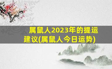 属鼠人2023年的提运建议