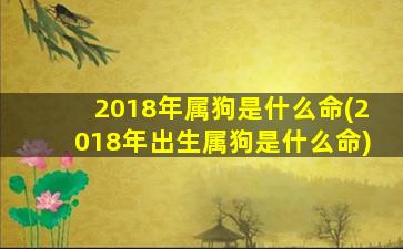 <strong>2018年属狗是什么命(2018年</strong>