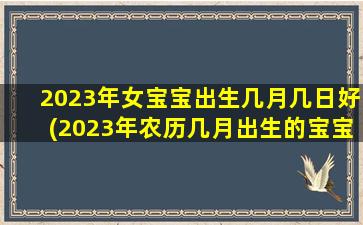 2023年女宝宝出生几月几日好(2023年农历几月出生的宝宝好)