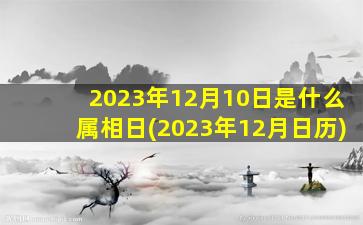 2023年12月10日是什么属相日(2023年12月日历)