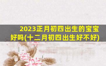 2023正月初四出生的宝宝好吗(十二月初四出生好不好)