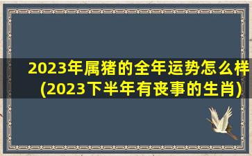 2023年属猪的全年运势怎么