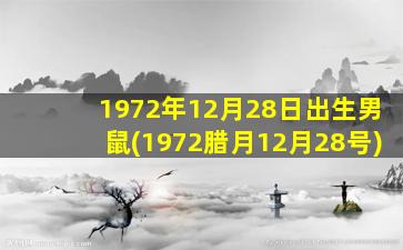 1972年12月28日出生男鼠(1