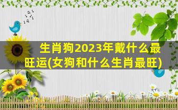 <strong>生肖狗2023年戴什么最旺运</strong>