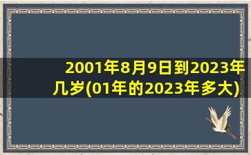 2001年8月9日到2023年几岁(01年的2023年多大)